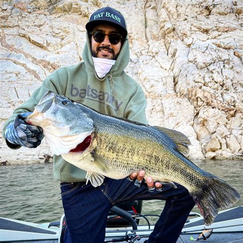 Current Bass fishing report on New Melones Lake, California.